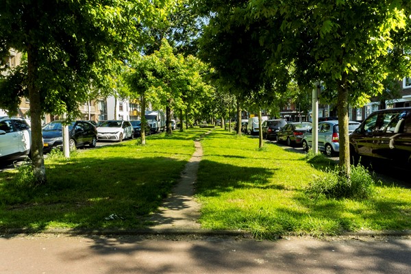 Medium property photo - Lunterenstraat 13, 2573 PA Den Haag